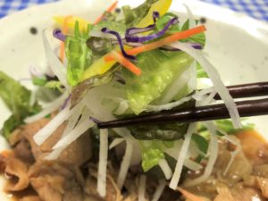 ヨシケイデリカ　やまと豚生姜焼きのサラダ