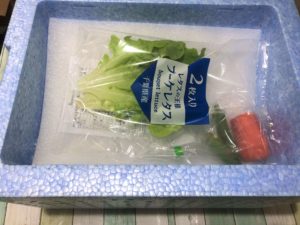 クールBOXのフタを開けると、上の段に冷蔵の野菜が入っています。